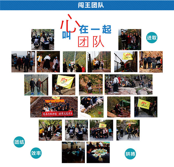 团队.jpg
